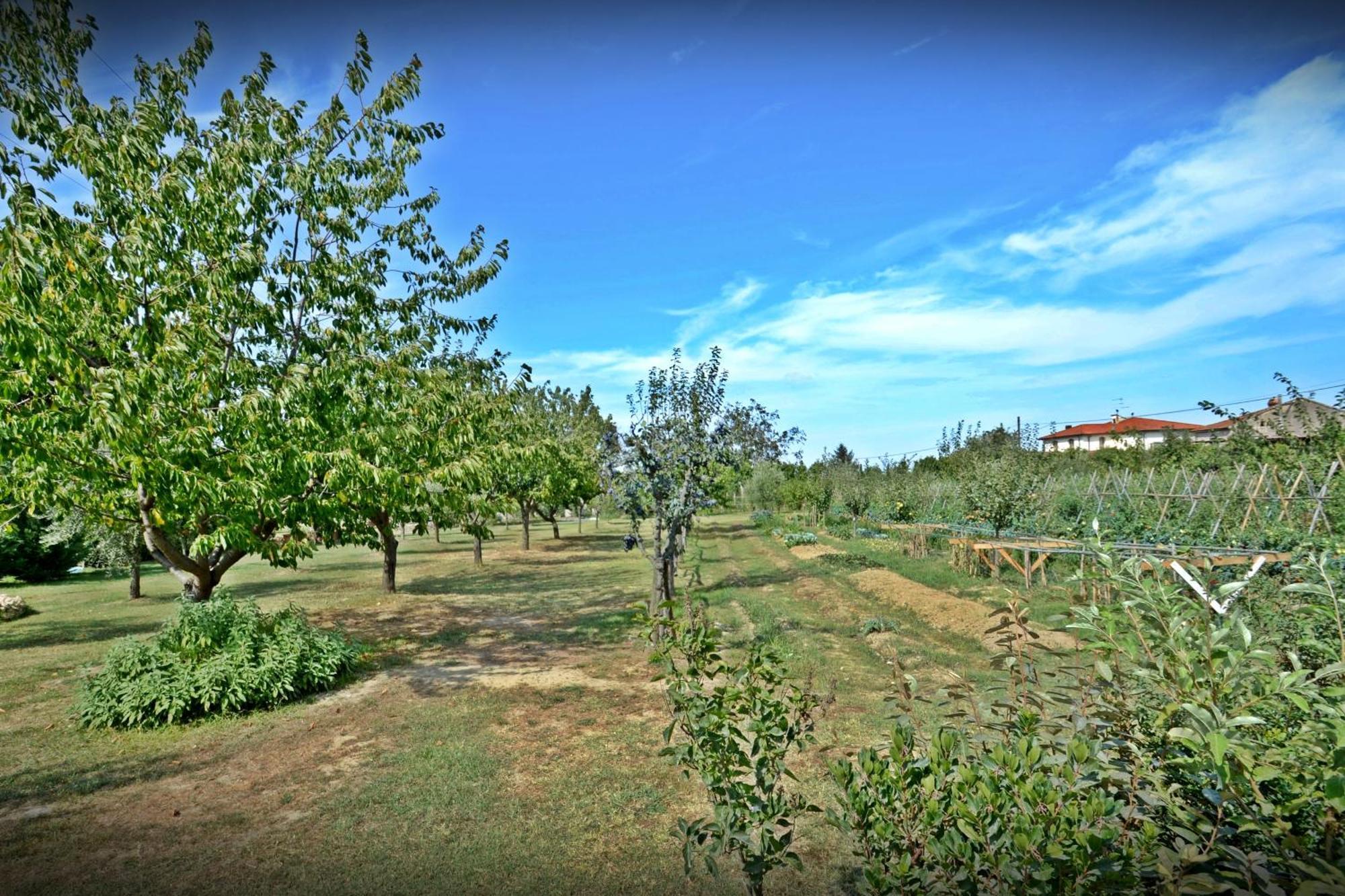 Cevoli Country Resort Lari ภายนอก รูปภาพ