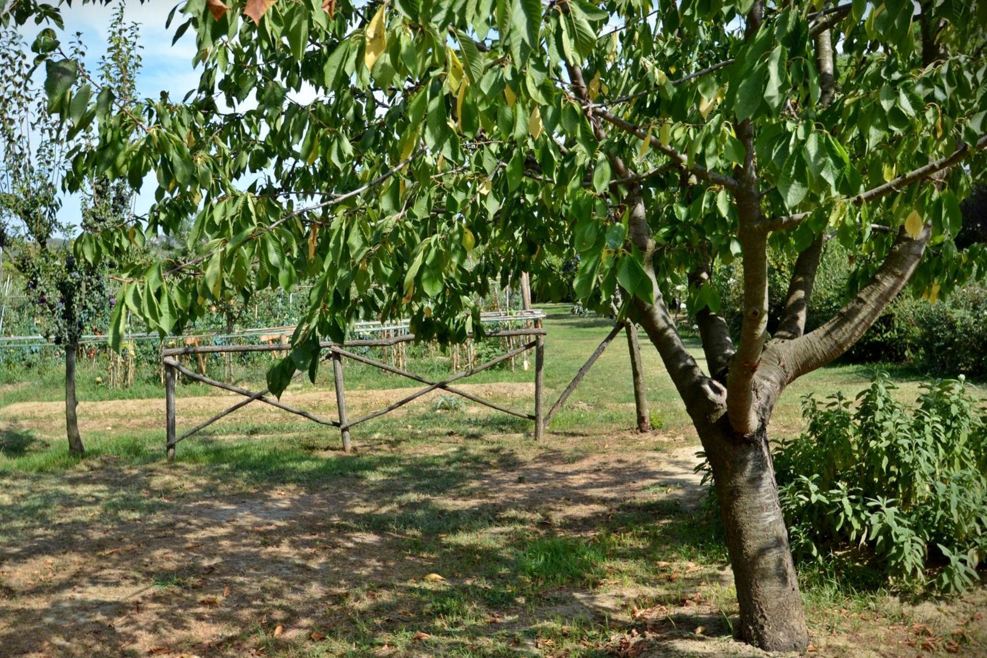 Cevoli Country Resort Lari ภายนอก รูปภาพ